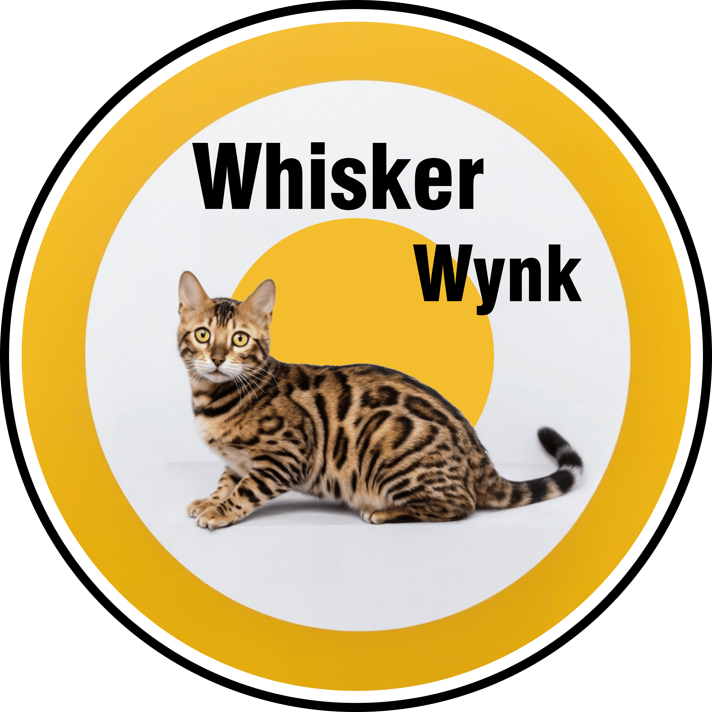 Contact Us | Bengal Cat Breeder in Texas | Whisker Wynk